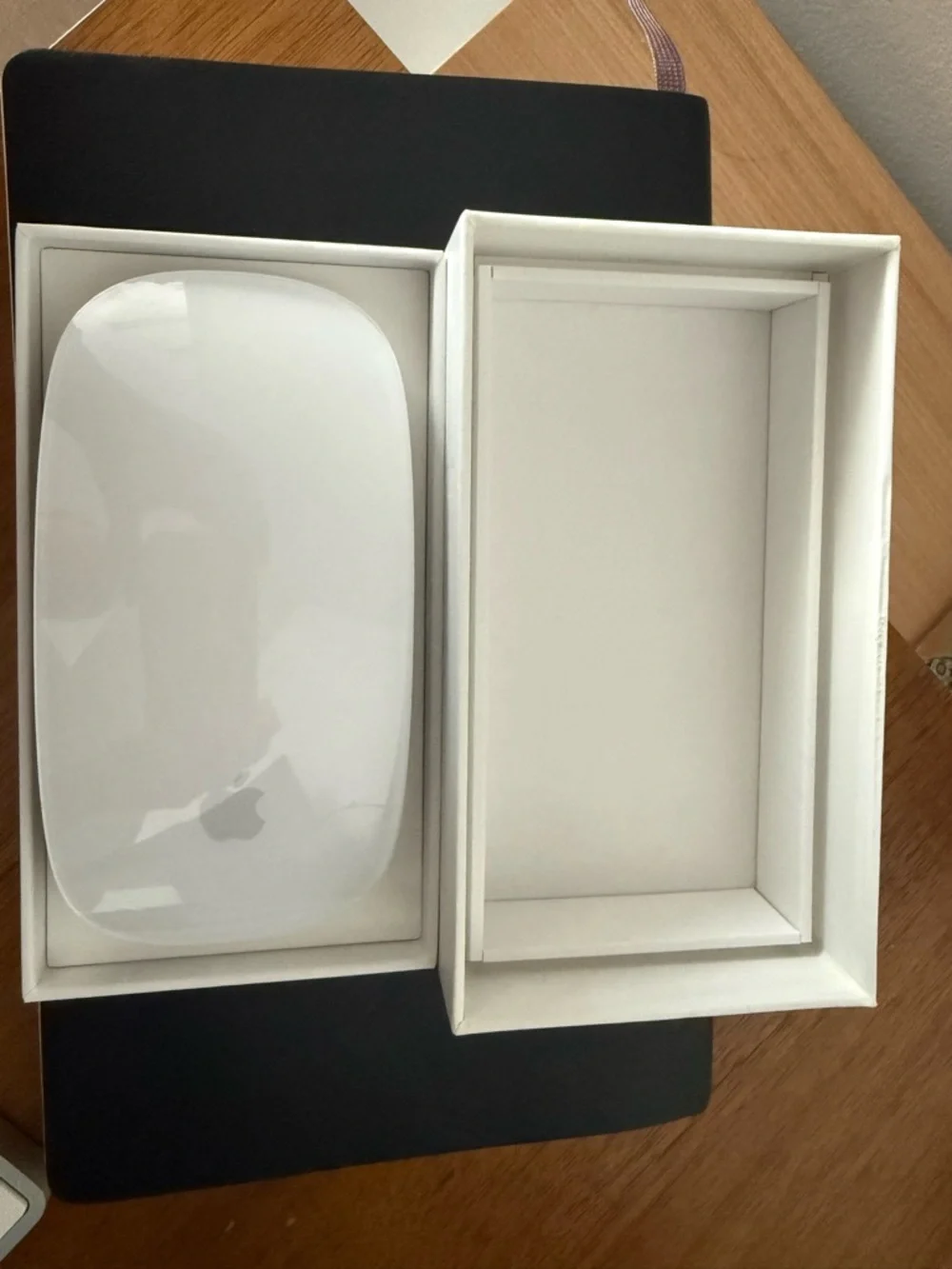 Apple Magic Mouse in White and Silver Accents